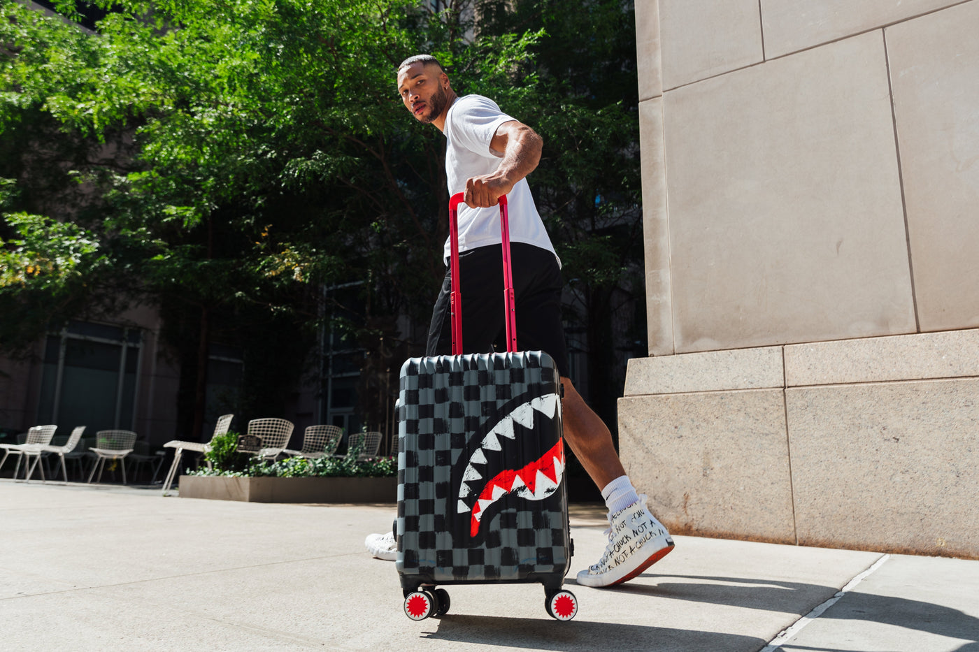 SHARKS IN PARIS PAINT GREY CARRY-ON LUGGAGE